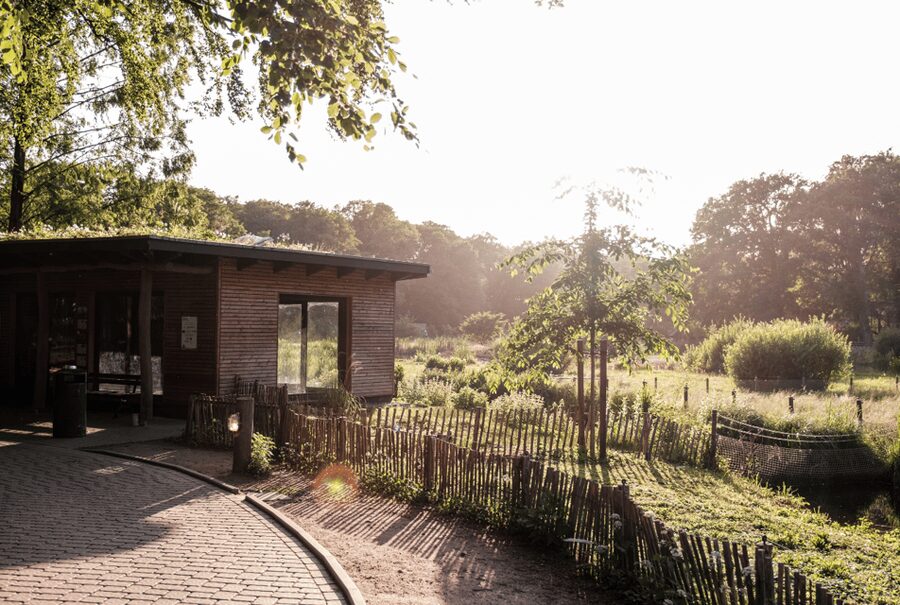 1-day ticket for Schwerin Zoo - Searching for rare animals