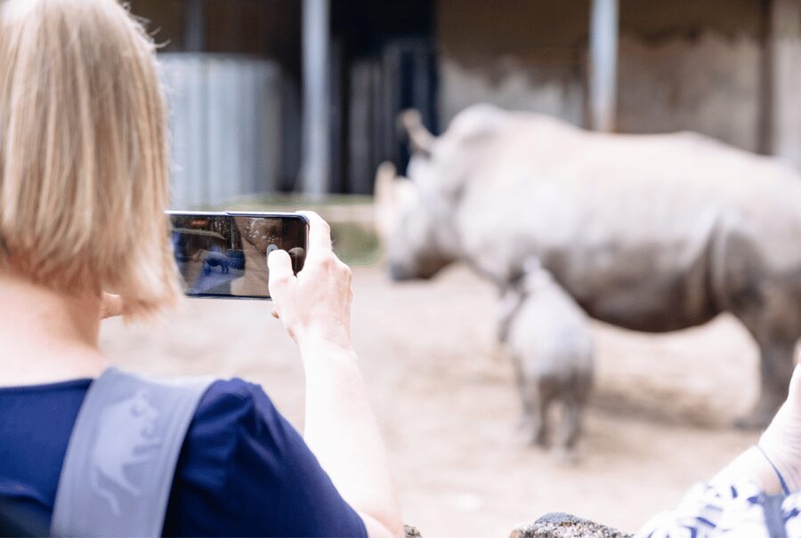 1-day ticket for Schwerin Zoo - A family day with some limits
