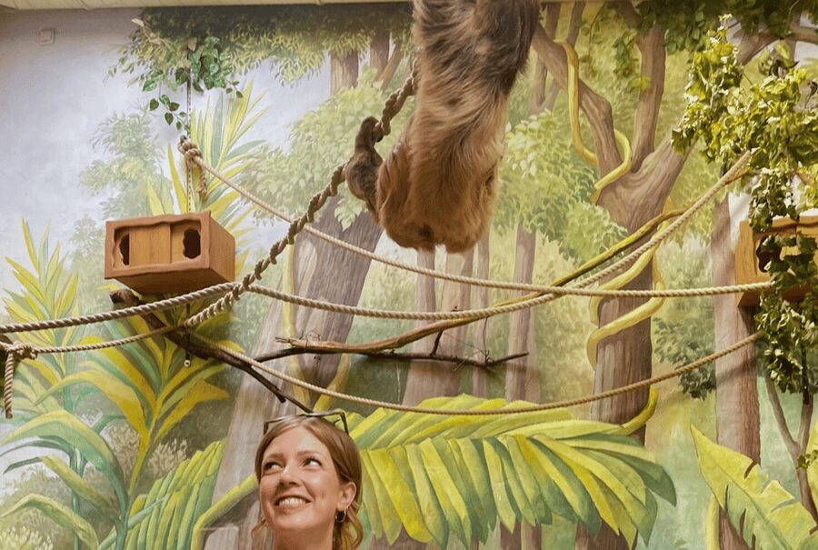 1-day ticket for Schwerin Zoo - Timing, weather, and what to bring