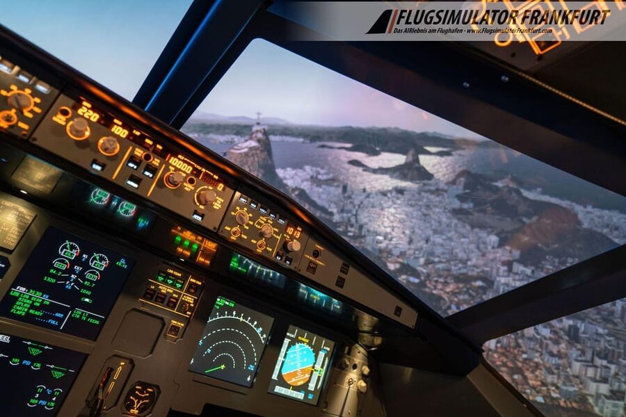 Airbus A320 flight simulator Frankfurt Airport - What companions can do while you fly