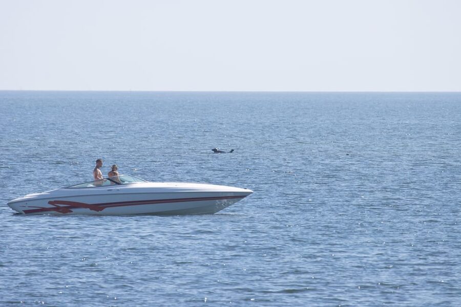 Baabe on Rügen: Seal-Spotting Cruise in the Baltic - The Views From the Upper Deck