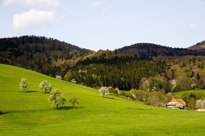 Baden-Baden, Black Forest and Strasbourg Day Trip from Frankfurt - Key points to know before booking
