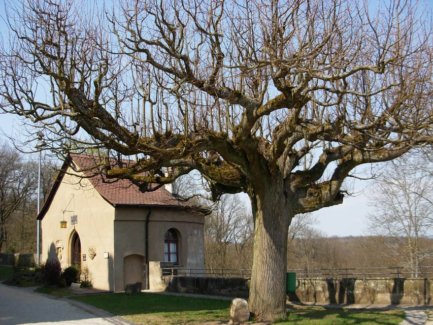 Bamberg: Altenburg Burg Tour - My verdict on the Altenburg experience