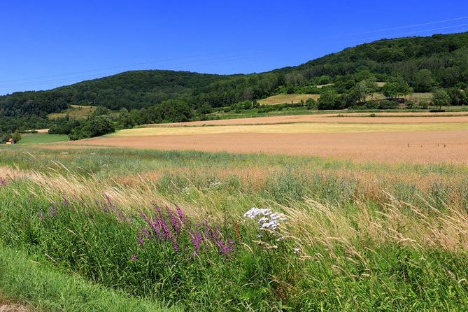 Bamberg Countryside Breweries Beer Hike Food Experience - Memmelsdorf: a gentle start with two breweries