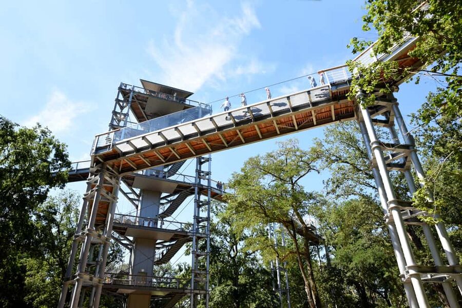 Beelitz-Heilstätten: Baum&Zeit Tree Top Walk Entry Ticket - Why Beelitz-Heilstätten Looks So Different From Above