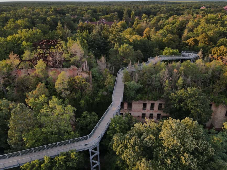 Beelitz-Heilstätten: Baum&Zeit Tree Top Walk Entry Ticket - The Alpenhaus Ruins and Their Unusual Roof Forest