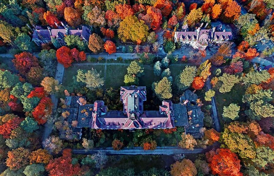 Beelitz-Heilstätten: Baum&Zeit Tree Top Walk Entry Ticket - Who Will Enjoy This Outing Most