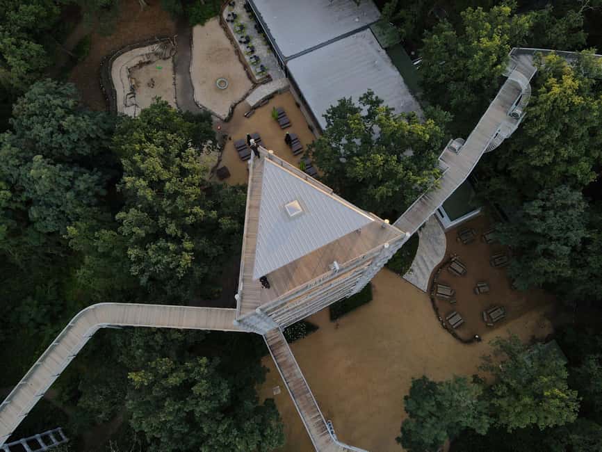 Beelitz-Heilstätten: Baum&Zeit Tree Top Walk Entry Ticket - How to Get More From the Visit