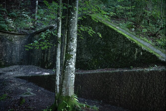 Berchtesgaden-Obersalzberg Private Half Day WWII Historical Tour - Timing, weather, and practical planning