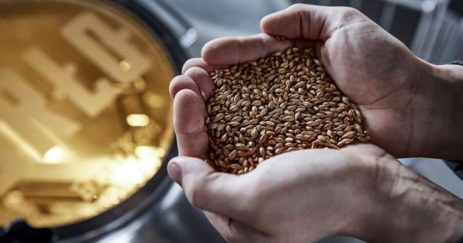 Berlin: BRLO BRWHOUSE Tour and Craft Beer Tasting - What the guides add to the experience