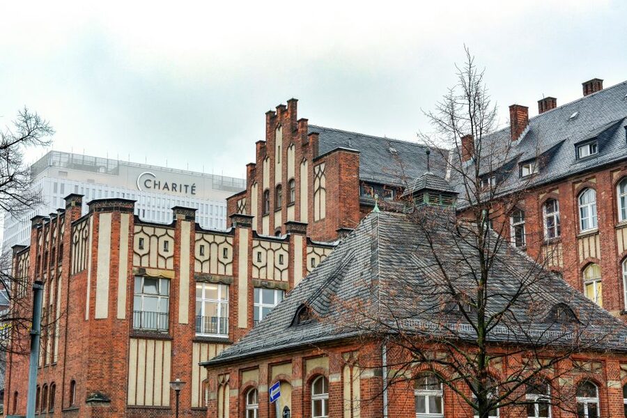Berlin: Charité Hospital History Walking Tour - Robert Koch, Rudolf Virchow, and the human side of science