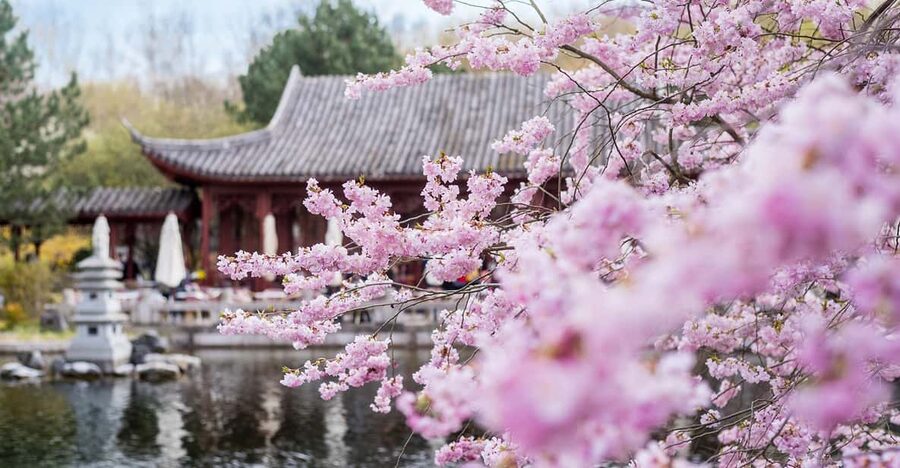 Berlin: Gärten der Welt Guided Tour - The three Monotheistic Gardens and their religious themes