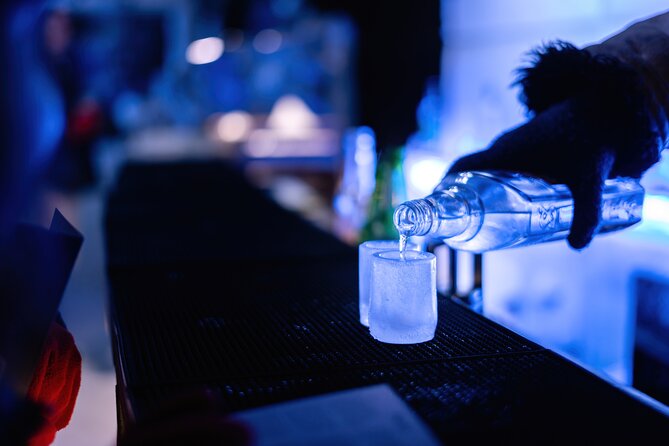 Berlin Icebar Experience Including 3 drinks - Inside the frozen room