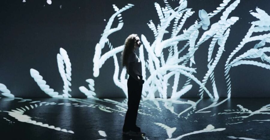 Berlin: Lighthouse of Digital Art Ticket - Key points to know before you go