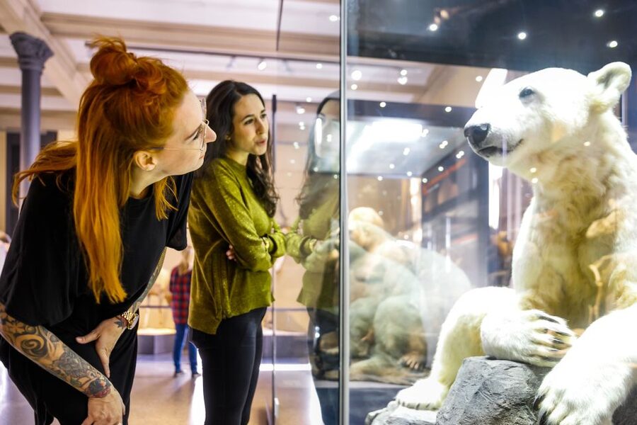 Berlin: Natural History Museum Entrance Ticket - How long should you plan for?