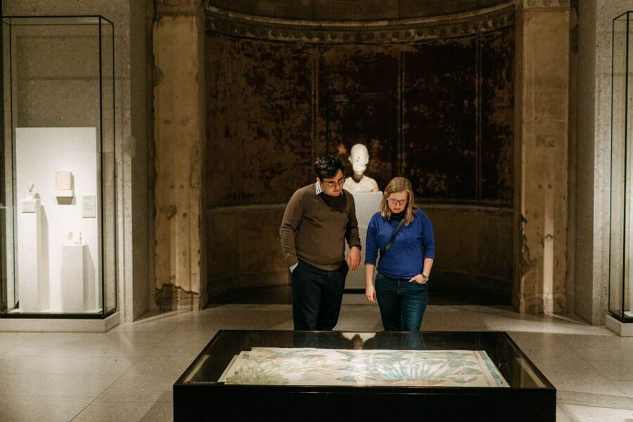 Berlin: Neues Museum Entry Ticket - Using the audio guide without losing your own pace
