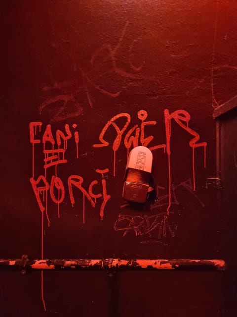 Berlin: Premium Underground Party Tour - Who should book this experience?
