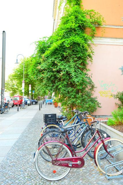 Berlin Reunited and Revived! 3-Hour Alternative Tour - Mitte: restored buildings and a changing center