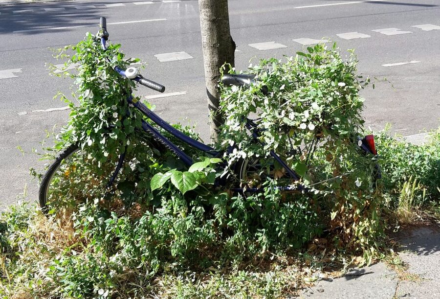 Berlin: Street Art and Alternative Tour - What the three-hour pace feels like