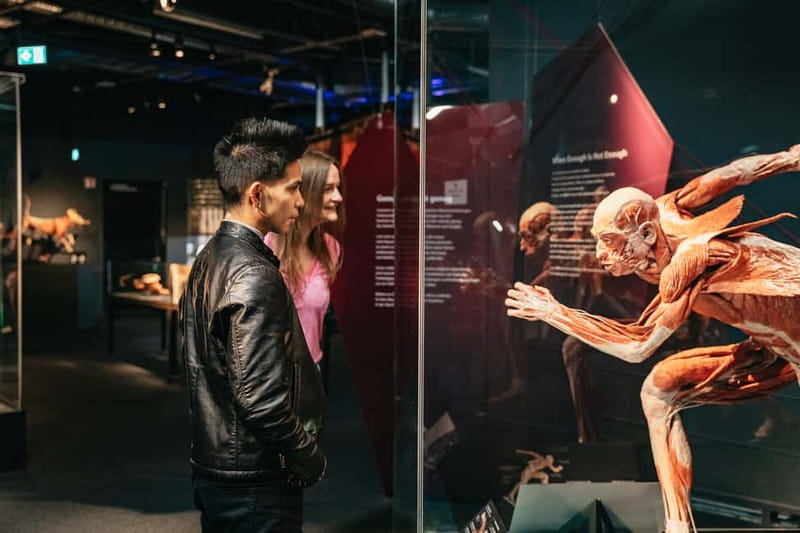 Berlin: Tickets for the BODY WORLDS Museum in Berlin - Key points to know before you go
