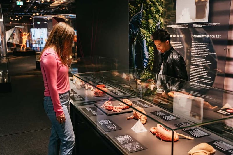 Berlin: Tickets for the BODY WORLDS Museum in Berlin - What BODY WORLDS shows you about your own body