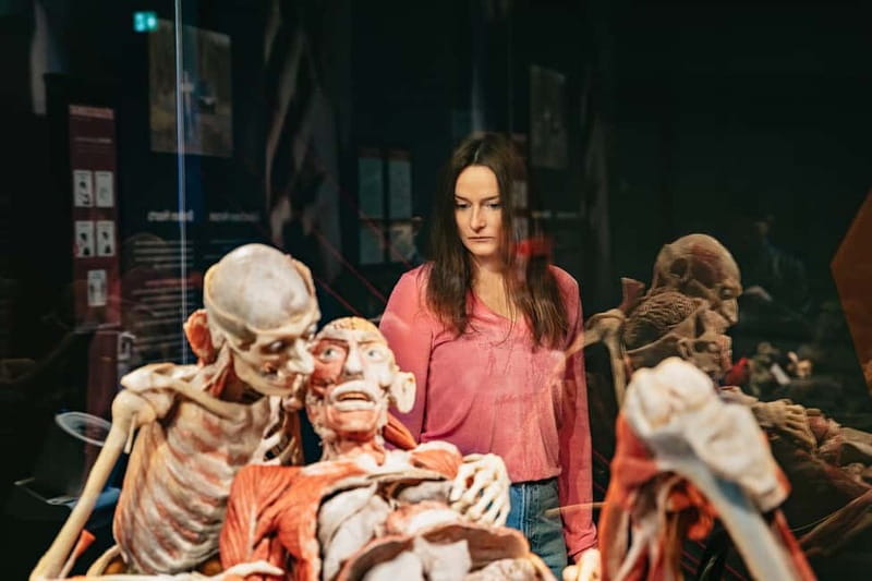 Berlin: Tickets for the BODY WORLDS Museum in Berlin - How long you should allow at Panoramastraße