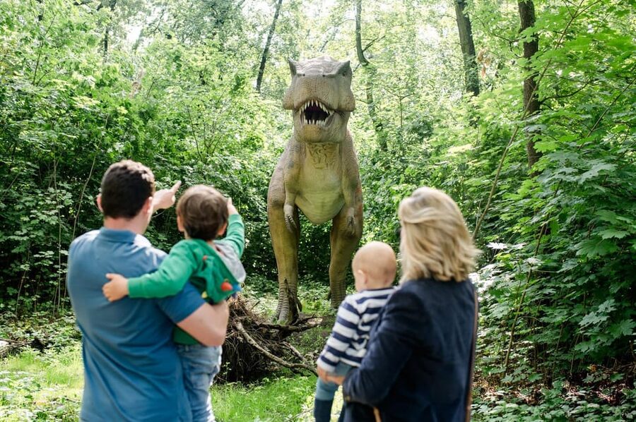 Berlin: Tickets for the Tierpark in East Berlin - Key points to know before you go