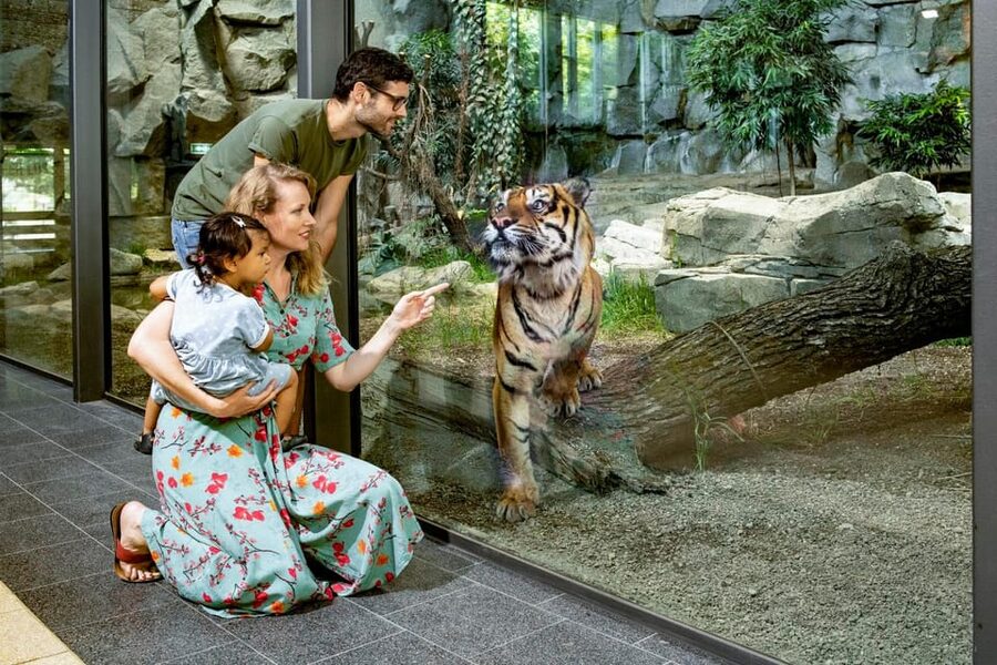 Berlin: Tickets for the Tierpark in East Berlin - Africa Savannah and the giraffe walkway