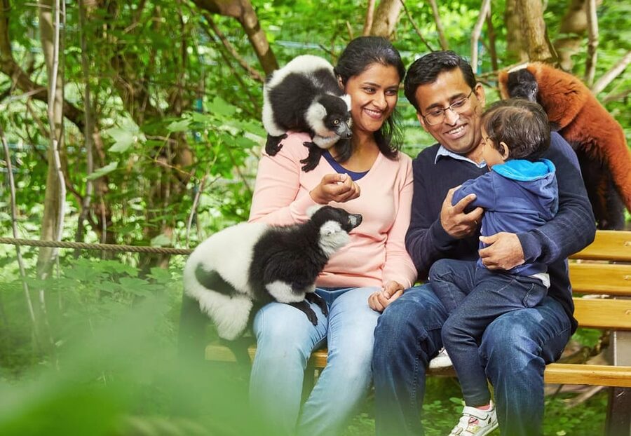 Berlin: Tickets for the Tierpark in East Berlin - Is the $24 ticket good value?