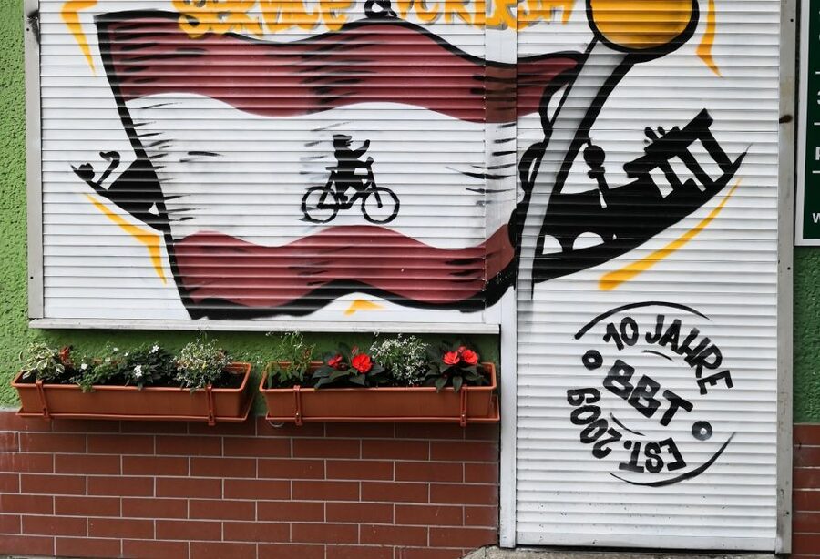 Berlin Wall: Small Group Guided Tour - The cherry trees with an unexpected story