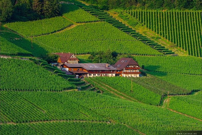 Black Forest. From Baden-Baden to Strasbourg. Two countries in one day - Baden-Baden’s Roman past beneath the modern spa town