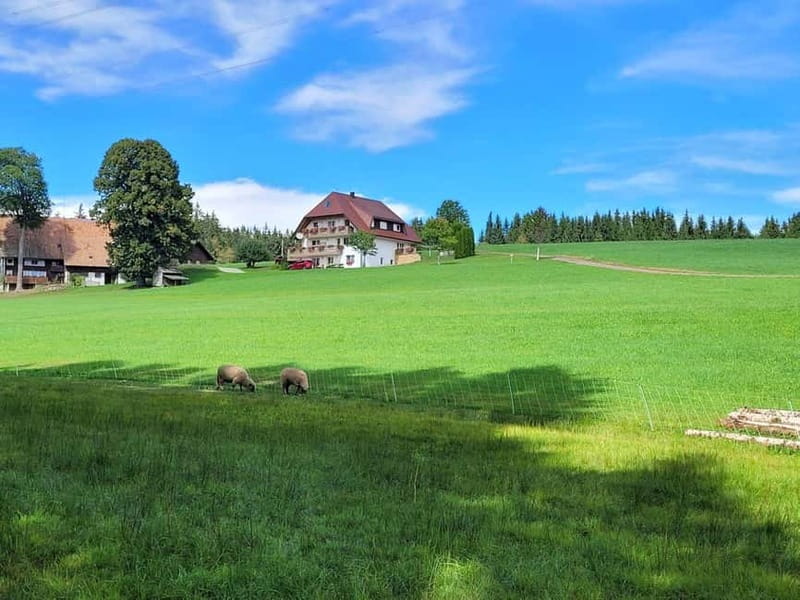 Black Forest: Ravenna Gorge Hike, Self-Guided - Key points at a glance