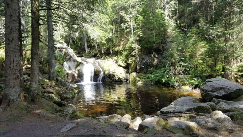 Black Forest: Ravenna Gorge Hike, Self-Guided - Who should choose this hike?