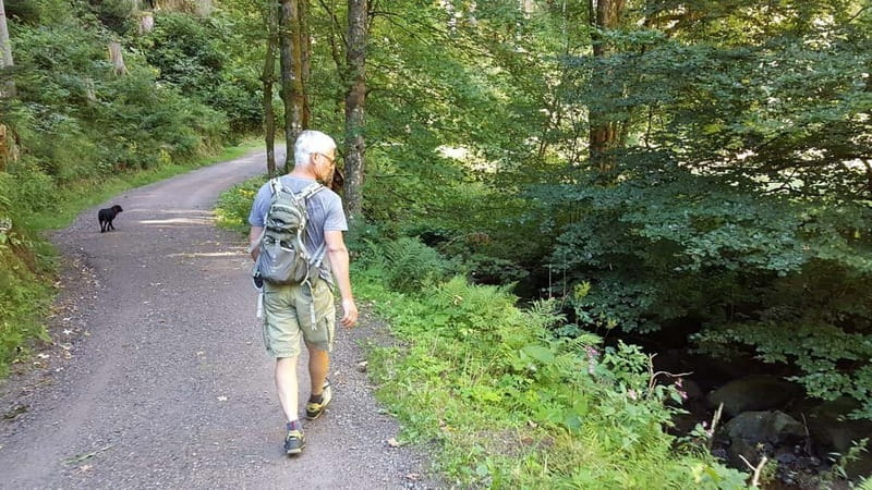 Black Forest: Ravenna Gorge Hike, Self-Guided - Following the three-hour gorge route