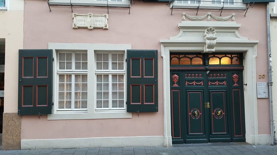 Bonn: Private City Highlights Walking Tour - The Electoral Palace and the Kurfürsten
