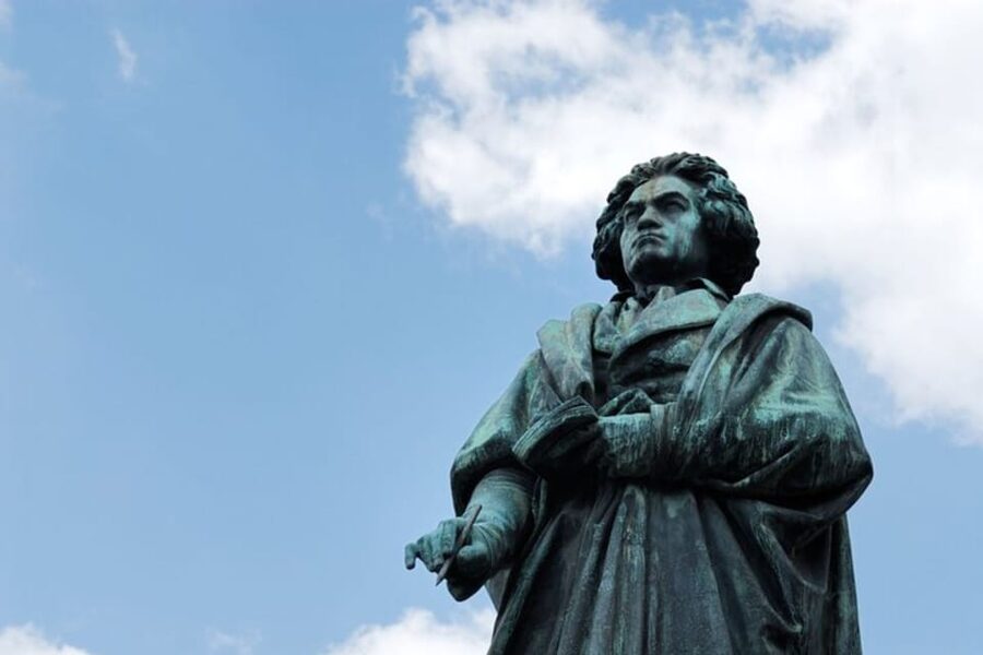 Bonn : Private Walking Tour With A Guide ( Private Tour ) - Why a private walk makes sense in Bonn