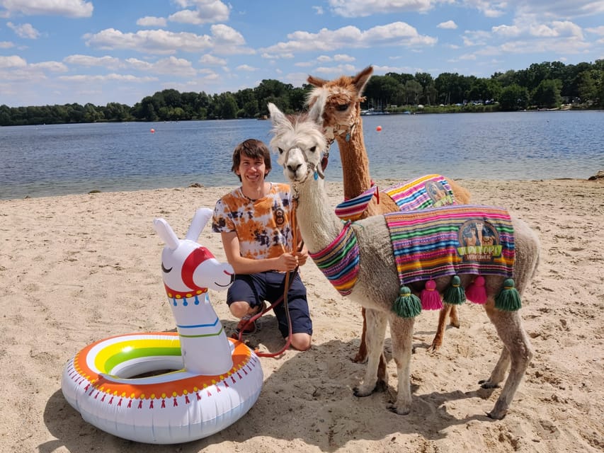 Braunschweig: Alpaca Trekking Tour - What to wear and bring