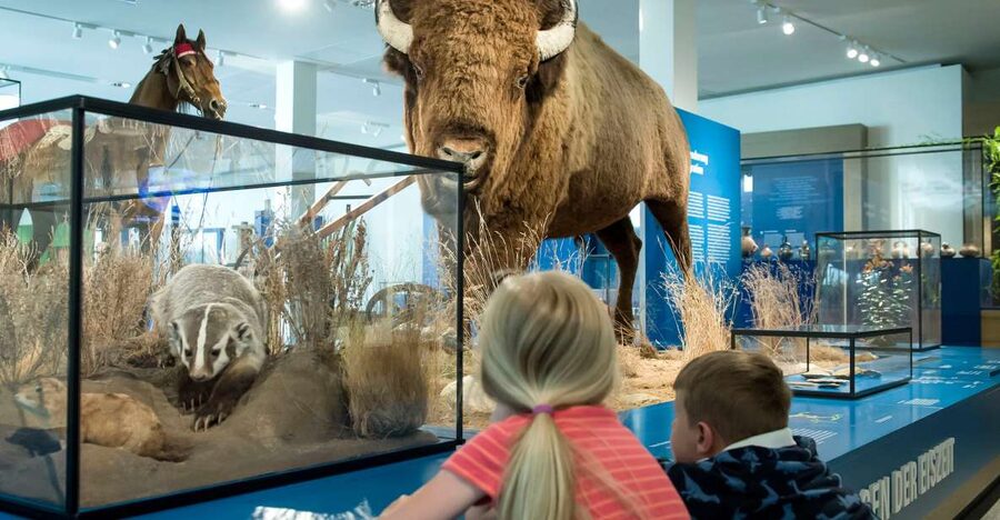 Bremen: Übersee Museum Entrance Ticket - Key points to know before you go