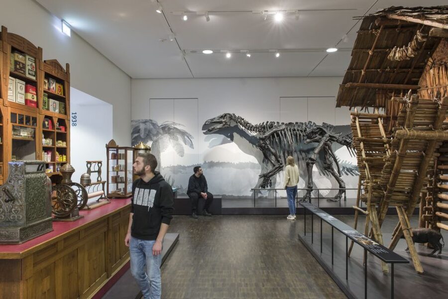 Bremen: Übersee Museum Entrance Ticket - Interactive displays and a self-guided pace