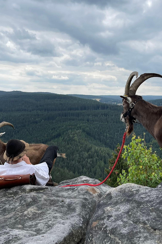 Climb the mountains together with goats - Practical planning for Pfaffendorf