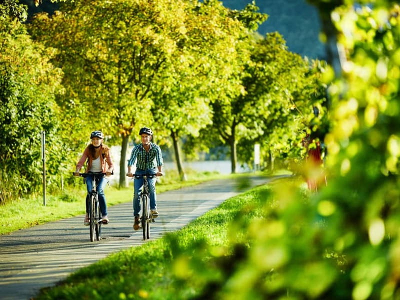 Cochem: Bike and Boat Tour with Picnic and Wine Tasting - Key points at a glance