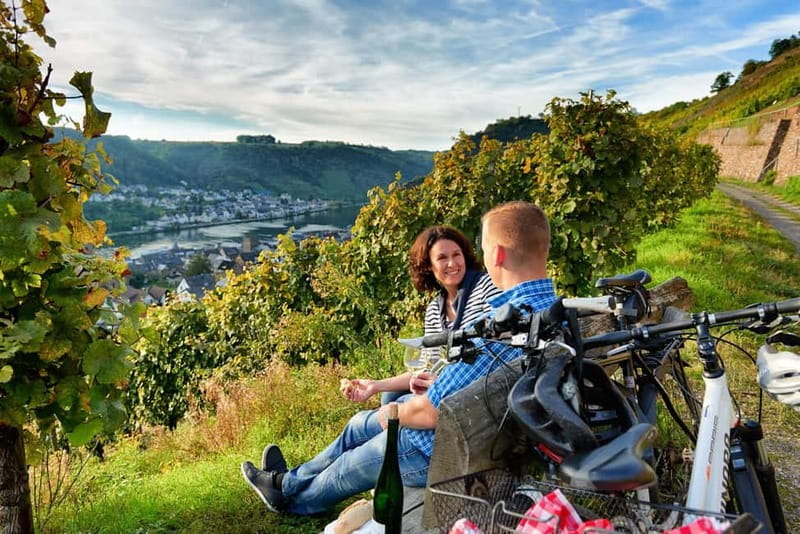 Cochem: Bike and Boat Tour with Picnic and Wine Tasting - What $112 buys you