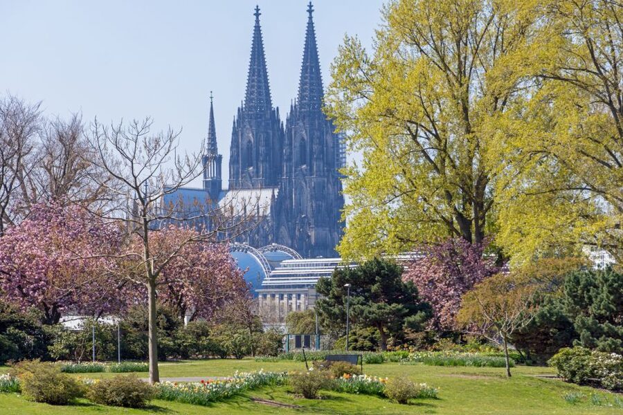 Cologne: City Highlights Segway Tour - The Audio Guide and Your Local Guide