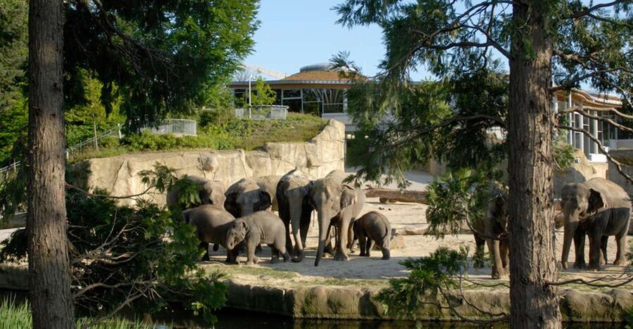 Cologne: Cologne Zoo and Aquarium Entry Ticket - Hippodom brings Africa indoors