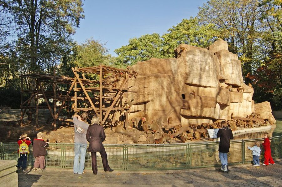 Cologne: Cologne Zoo and Aquarium Entry Ticket - Big cats, apes, and marine animals