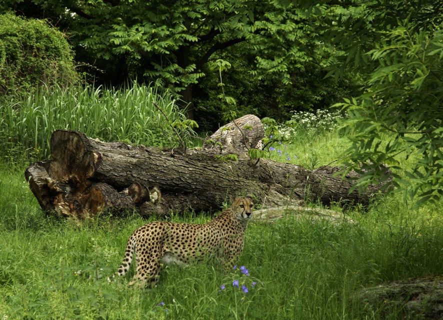 Cologne: Cologne Zoo and Aquarium Entry Ticket - Clemenshof gives children a hands-on stop