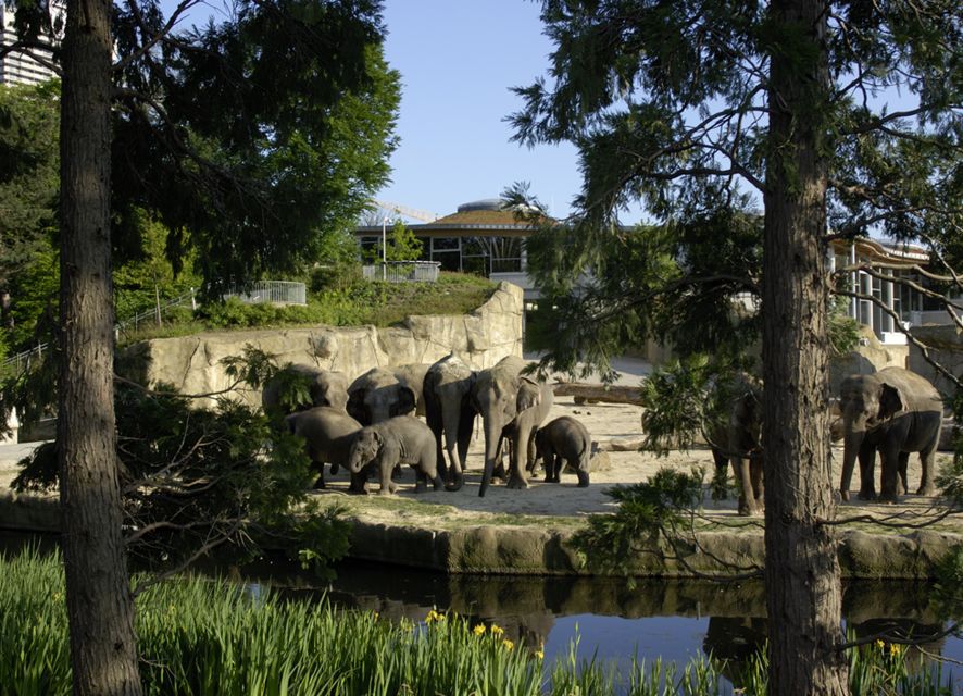 Cologne: Cologne Zoo and Aquarium Entry Ticket - The Asian elephant park is the zoo’s strongest sight