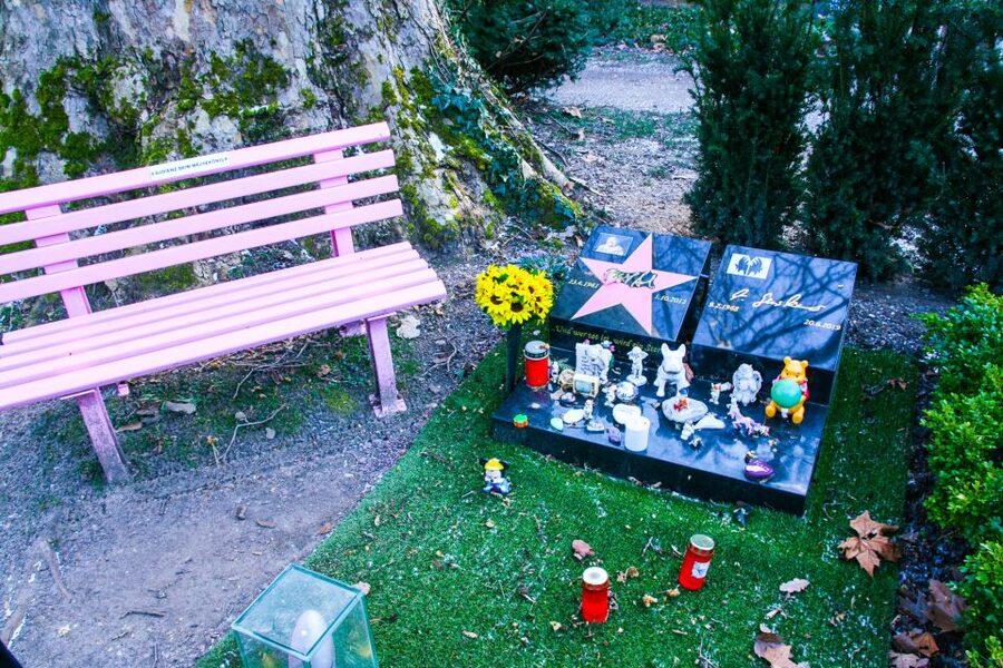 Cologne: Guided Tour of Melatenfriedhof - Who will enjoy Melatenfriedhof most?
