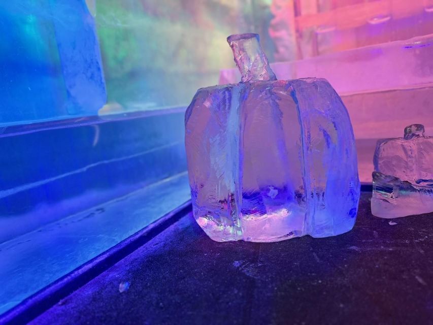 Cologne: IceBar Entry Ticket with Drinks - What the Cologne IceBar experience is really like