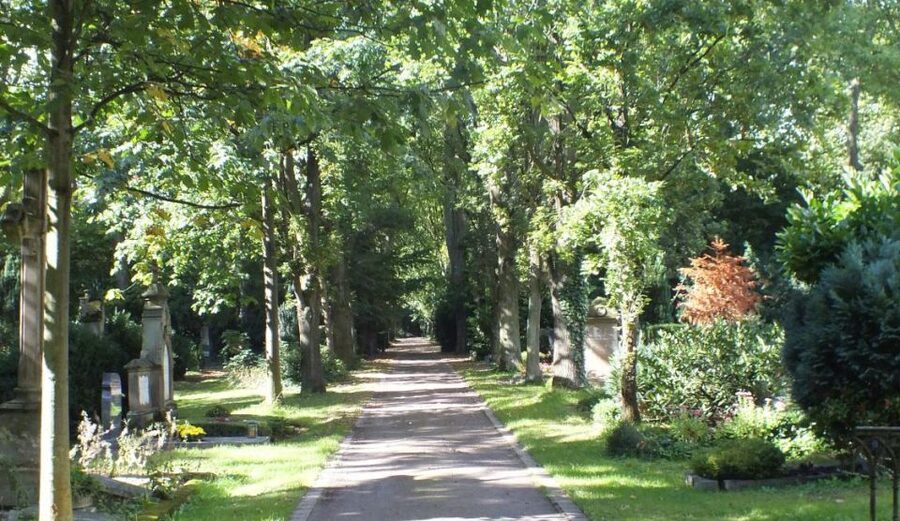 Cologne: Melaten Cemetery Life, Love and Death Tour - What two hours gives you